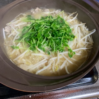 安い！簡単！野菜たっぷり！　豆苗もやし豚味噌鍋